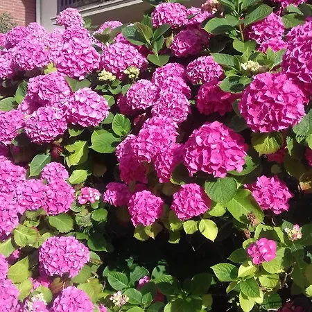 Apartamento Avec Vue Sur La à - 30 M²