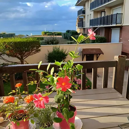 Avec Vue Sur La A - 30 M² *