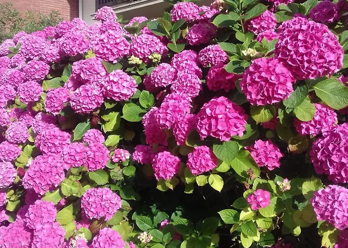 Apartment Avec Vue Sur La A - 30 M²